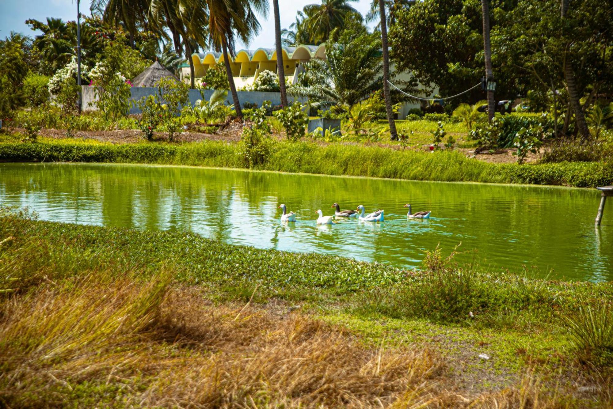 Hôtel Sarakawa Lome Bagian luar foto
