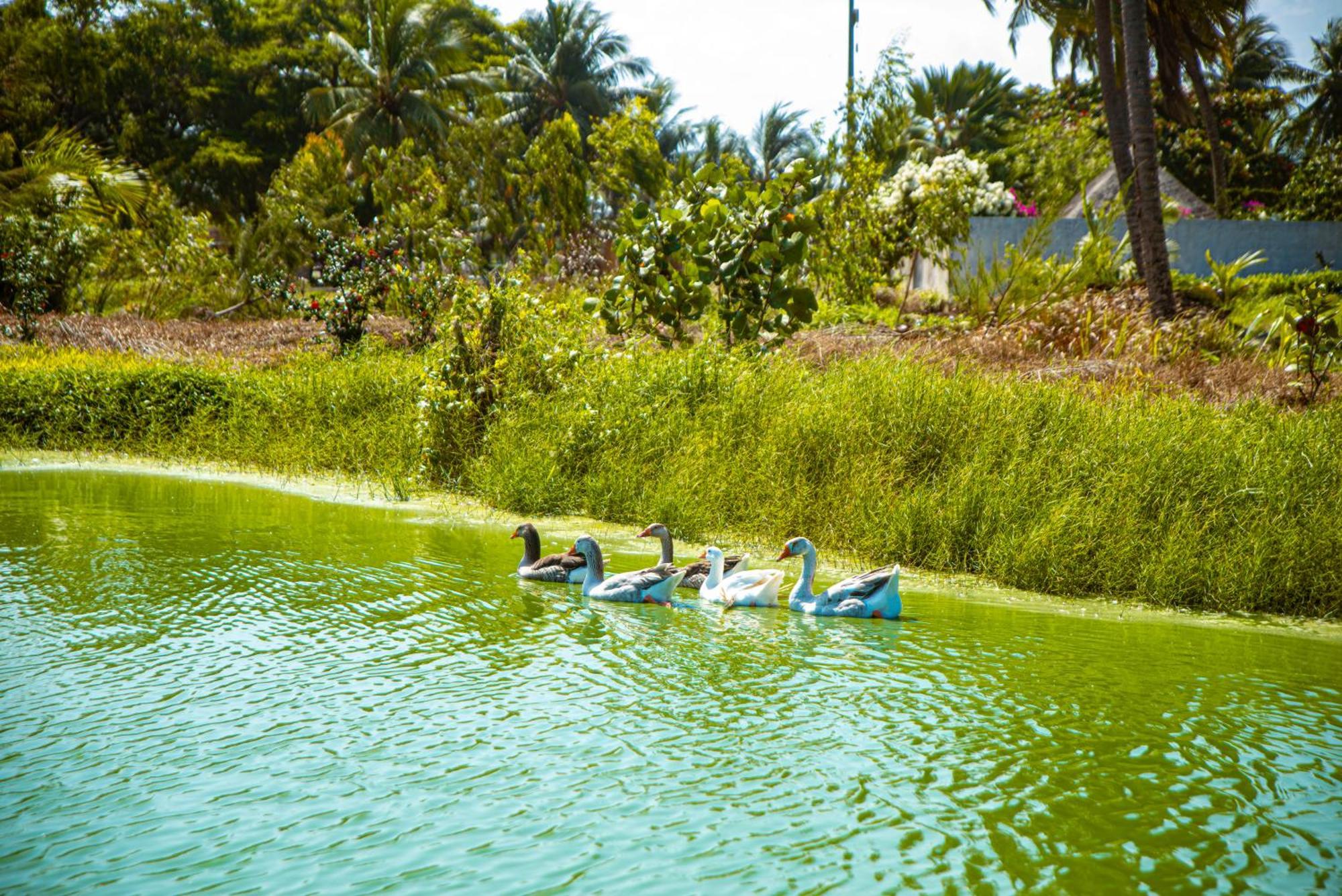 Hôtel Sarakawa Lome Bagian luar foto