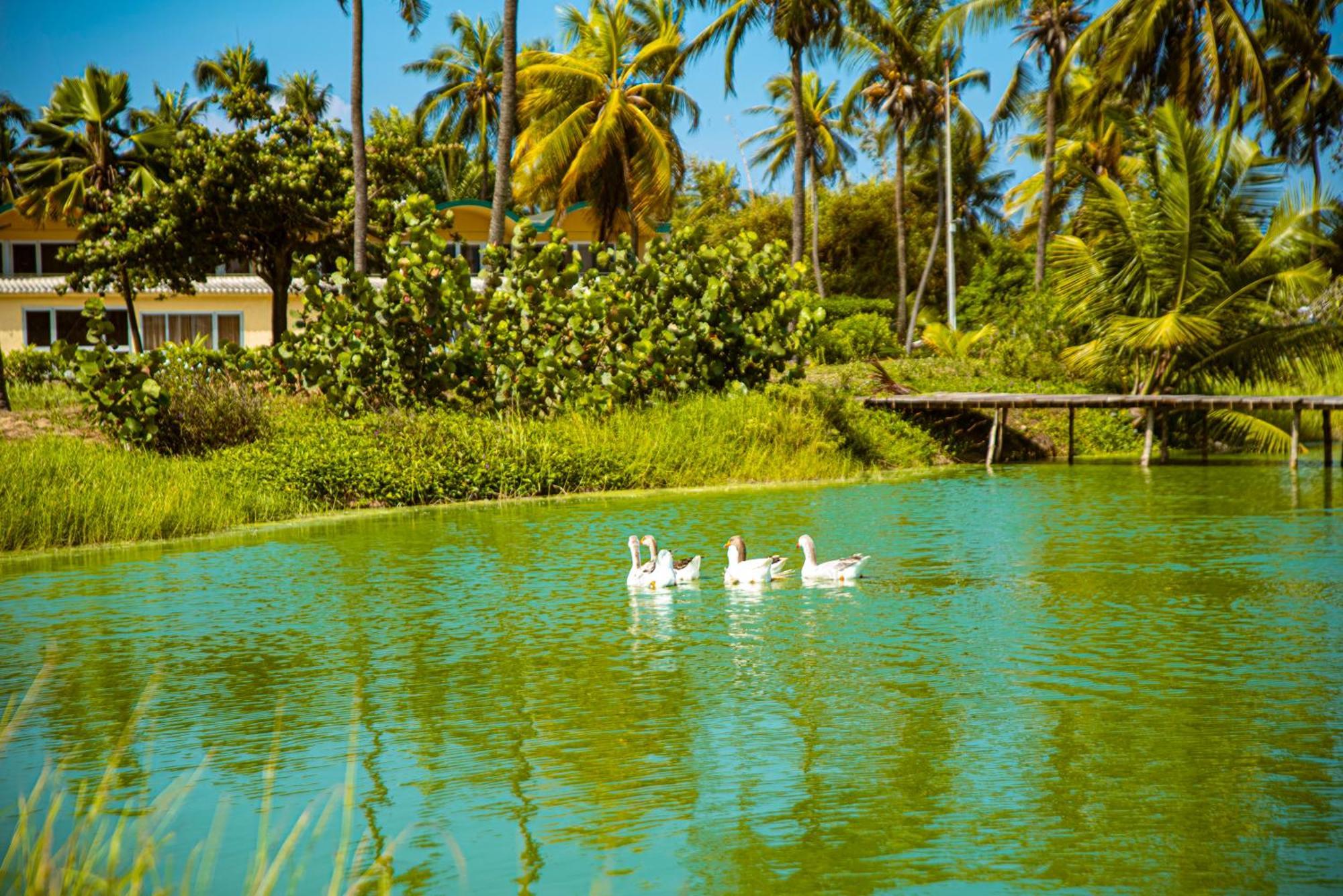 Hôtel Sarakawa Lome Bagian luar foto
